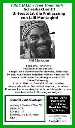 Free Jalil - Free them all!! Flyer mit Text zum Artikel